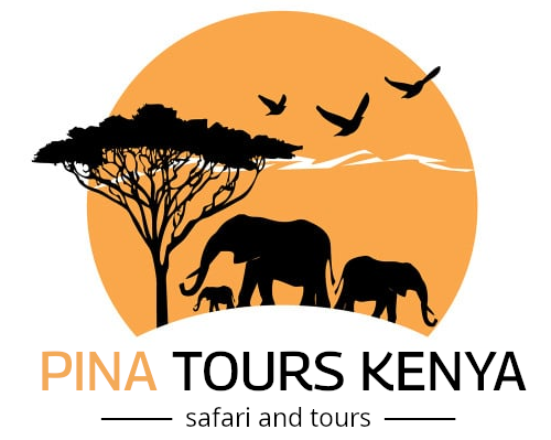 safari and tours